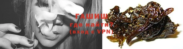 гидра Алексеевка