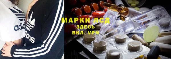 амф Алзамай