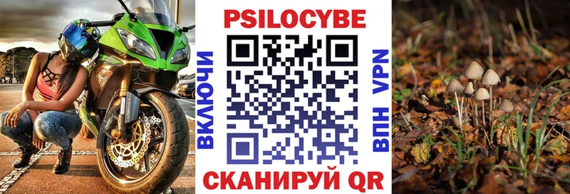 купить закладку  Анжеро-Судженск  Псилоцибиновые грибы GOLDEN TEACHER 